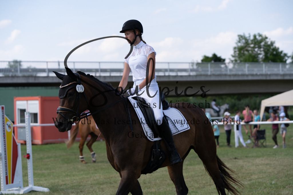 A7V00524 | Turnier/Reitfotograf