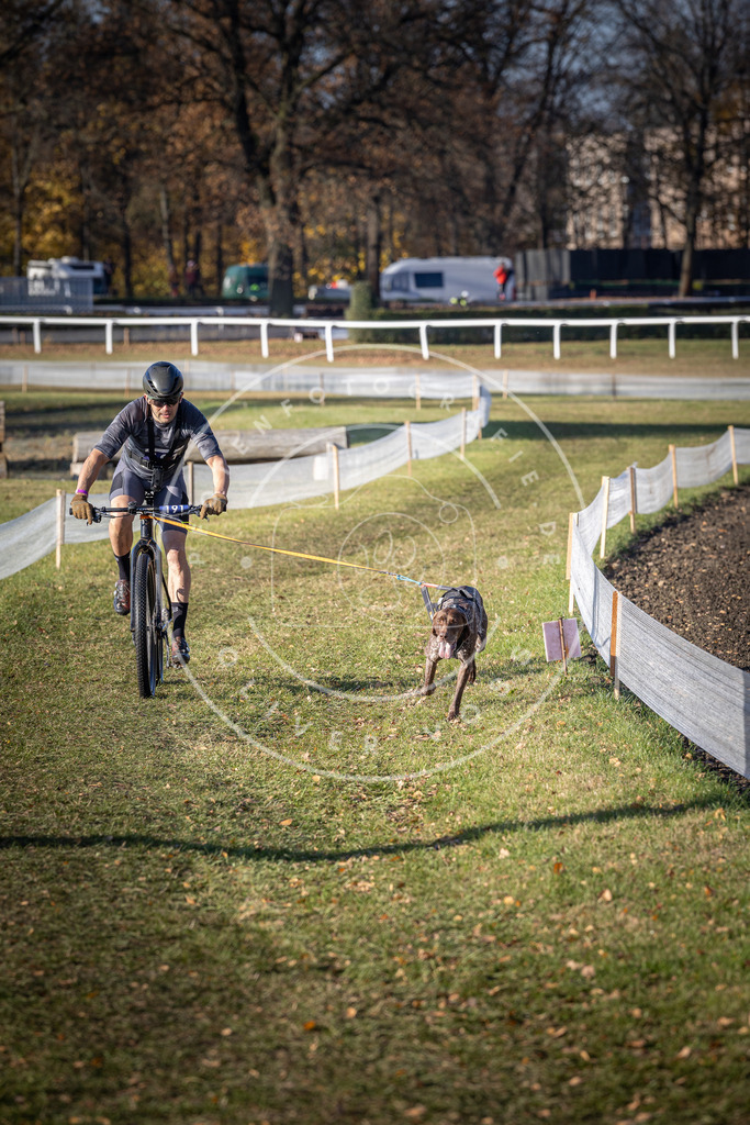 CaniXpix_DV3A2463 | Hundefotografie, Tierfotograf, Pfotenfotografie, Fotoshooting Hund, Hunde Portrait, Hundesport, Hundeportraits, Heideshooting, Hunde, Sportfotograf, Hundefotograf, Turnierhundsport, THS,  - Realisiert mit Pictrs.com