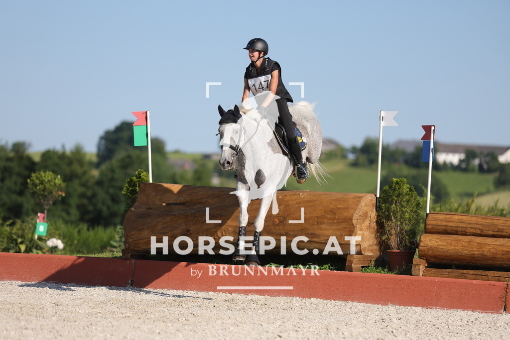 0P6A6924 | Willkommen bei Brunnmayr - Design & Fotografie – Ihrem Spezialisten für Reitturniere und Pferdeveranstaltungen in Oberösterreich, Salzburg und Bayern! Seit über 17 Jahren sind wir leidenschaftlich dabei.