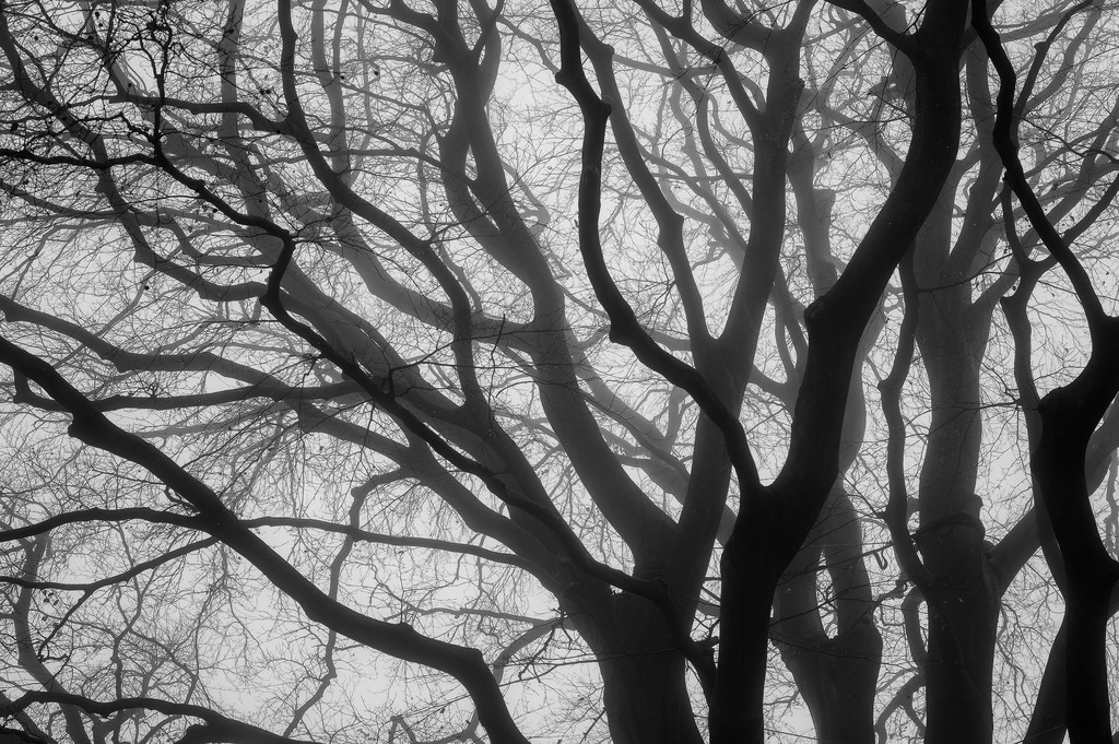 2025_02_01_HH-OEVELGOENNE NEBEL_MCP5281 sw | Hochwertig gedruckte Fotografien für die Wand, als Kalender und zum Verschenken. Hamburg & Norddeutschland und überall wo ich mit der Kamera unterwegs war.