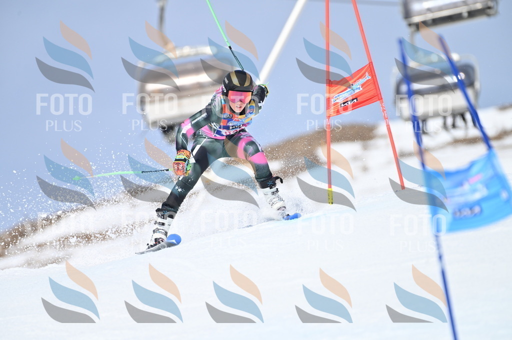 BGV_3423 | holidayphoto