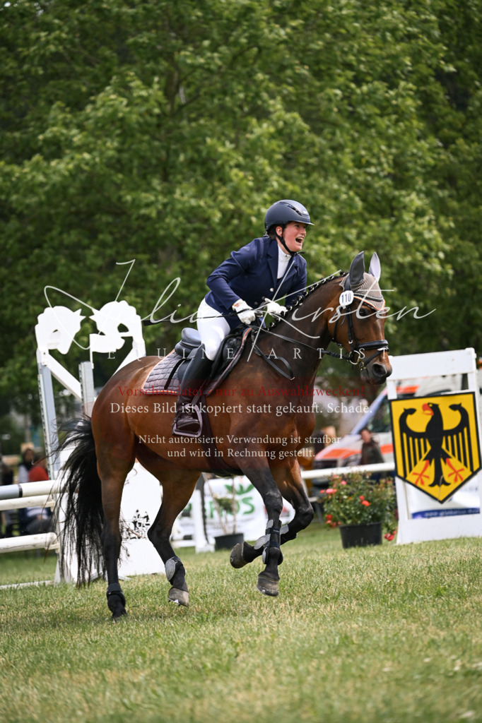 DSC_9137 | Pferde- und Turnierfotografie in Westsachsen. Pferdeportraits, Auftragszeichnungen und intuitive Kunst.