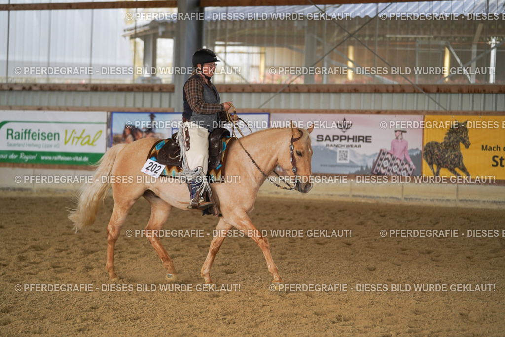 DSC00936 | Pferdegrafie