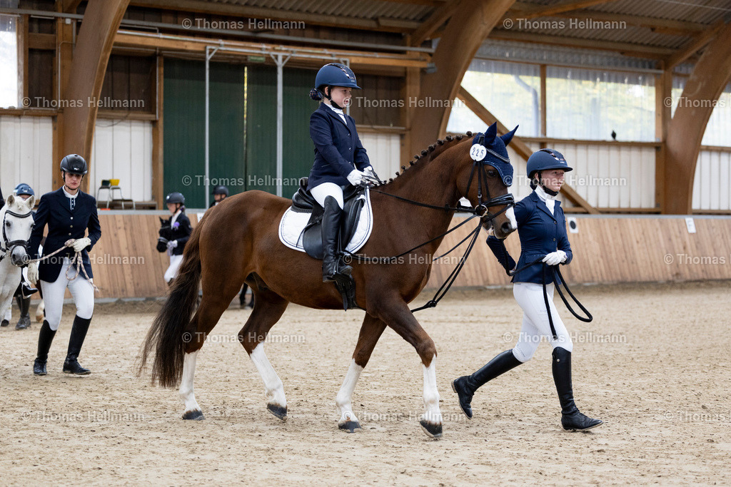 TH_225 Leona Jolin Rauhut (GER)_  Pep Guardiola W_ Führzügelklasse_32612 | 225 Leona Jolin Rauhut (GER), &nbsp;Pep Guardiola W, Führzügelklasse beim Reitturnier Guxhagen-Dörnhagen 2025 am 12.10.25 in Dörnhagen, Reit- u. Fahrverein