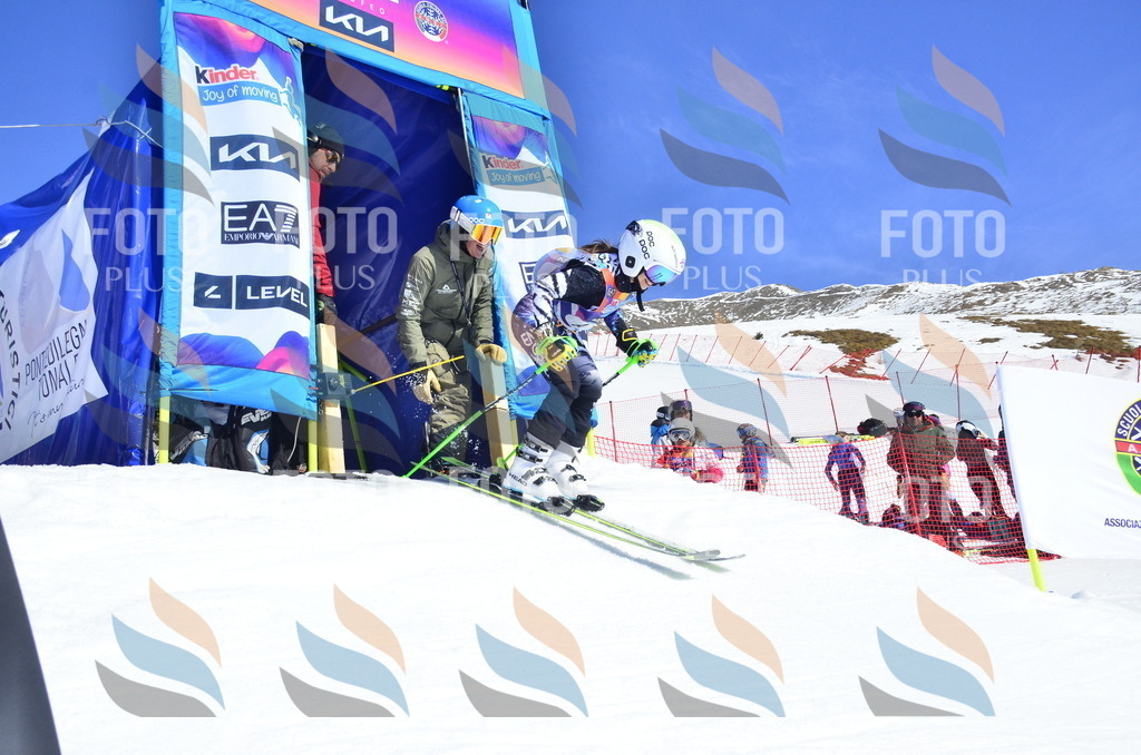 _ELE9656 | holidayphoto