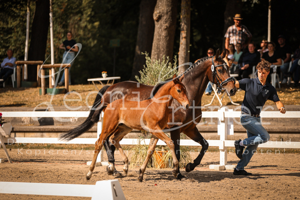 09.DoWBD00040 | Leoni Ertmer Photography - Realisiert mit Pictrs.com