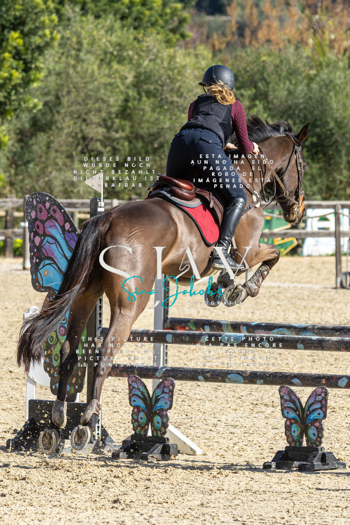 IMG_3910 | s-jay-photography - Realisiert mit Pictrs.com