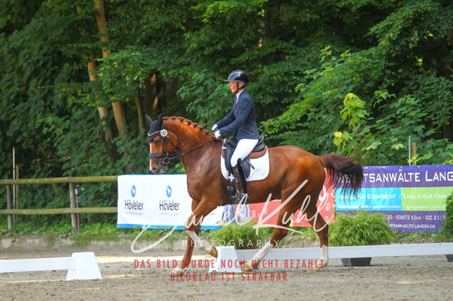 DKP42520 | Turniersportfotografie; Pferdefotografie; Dressurfotografie