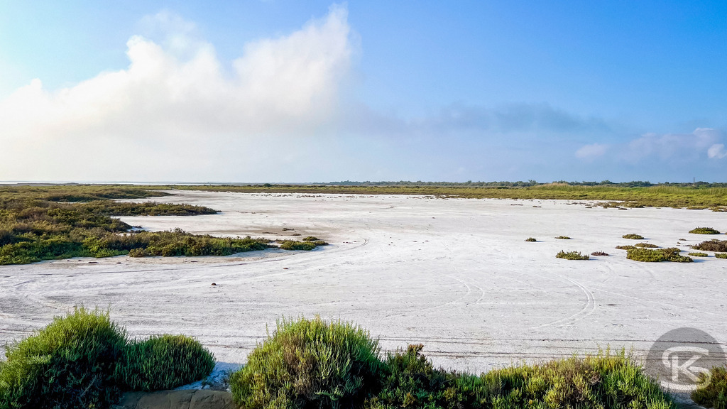 Die weißen Salzebenen der Camargue | Weite Landschaft der Rhônemündung in der Camargue mit flachen Salzwasser-Lagunen, Queller-Salzpflanzen und weitem blauem Himmel in Südfrankreich. - Realisiert mit Pictrs.com