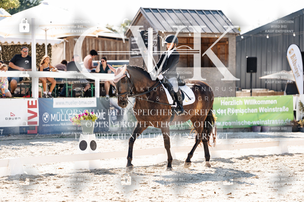 CK903006 | Turnierfotografie Pferdefotografie Trier Rheinland-Pfalz Pferdesport Reitsport Tierfotografie Sportfotografie Pferdevideo Pferdevideografie Equestrianvideography equestrianphotography  - Realisiert mit Pictrs.com