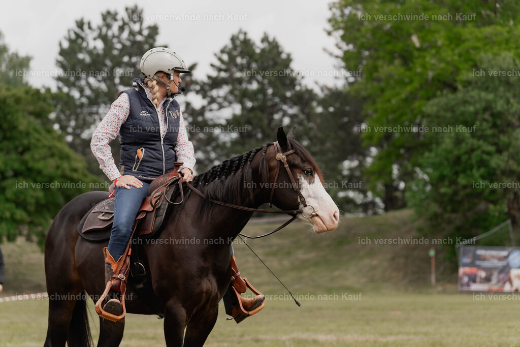 Showprogramm-82 | working equitationturnier fotograf videograf stoibphotography marixx film working equitation deutschland reitsport turnierfotografie eventfotografie equestrian events