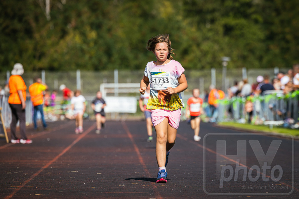 16. Hoywoj-CityLauf im Sportforum Hoyerswerda - 16.09.2023 | 1km VBH-Grundschul-Lauf 2. Klassen - Realisiert mit Pictrs.com