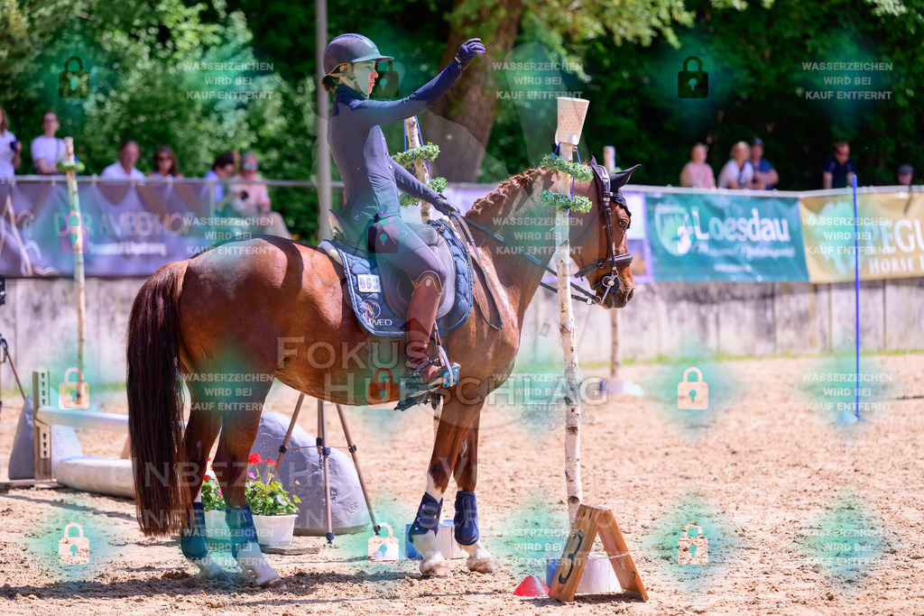 03052026-Giesenbach-05-Stiltrail-0664 | Fokus Hufschlag Fotografie - Realisiert mit Pictrs.com