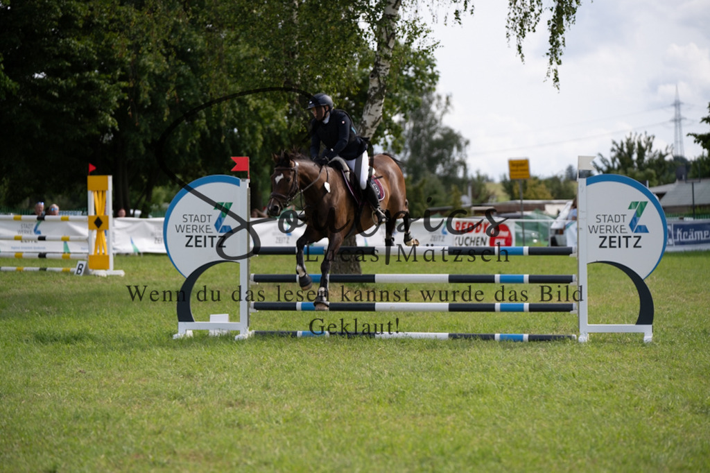 A7V04823 | Pferdefotograf