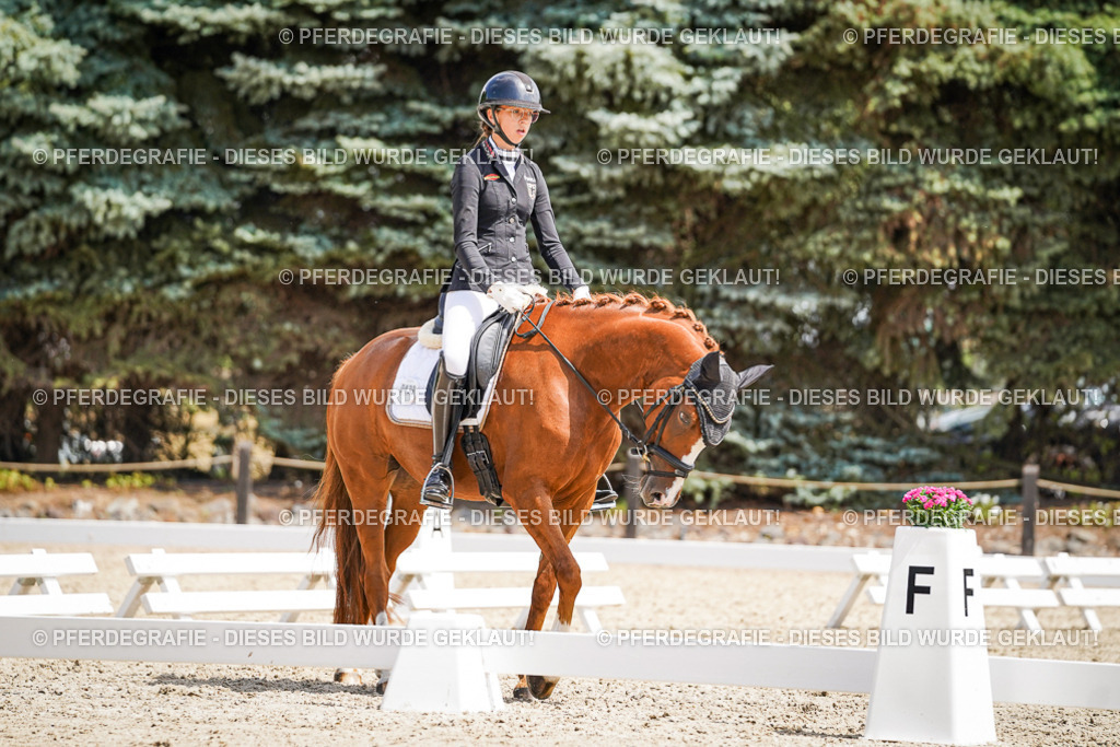 DSC00755 | Pferdegrafie