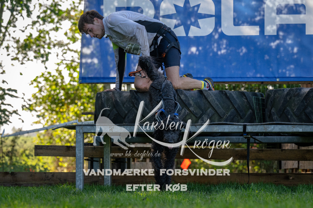 1140-92231 | kk-dogfotos