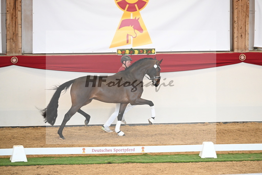 Kat.-Nr. 64 v. Fürst Zonik PS_Raedecke_2250553 | hf-fotografie - Realisiert mit Pictrs.com