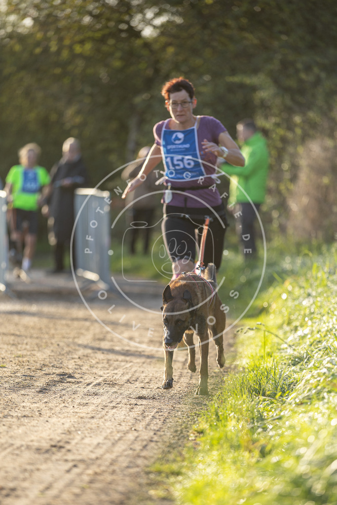 Pfotenfotografie.de_DV3A2611 | Hundefotografie, Tierfotograf, Pfotenfotografie, Fotoshooting Hund, Hunde Portrait, Hundesport, Hundeportraits, Heideshooting, Hunde, Sportfotograf, Hundefotograf, Turnierhundsport, THS, canicross - Realisiert mit Pictrs.com