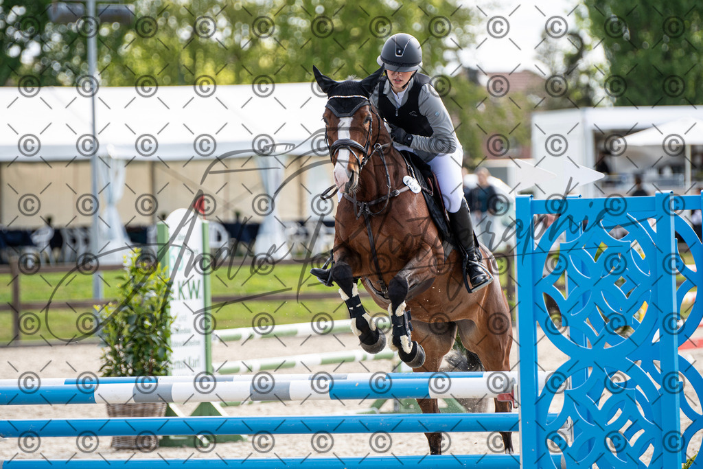 KPT_4743 | andre_photographic