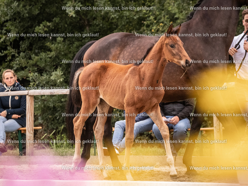 A10I6512 | photographylinaismer - Realisiert mit Pictrs.com