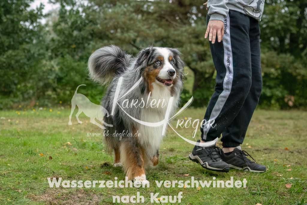 1249_ZZ91947-2-Bearbeitet | kk-dogfotos