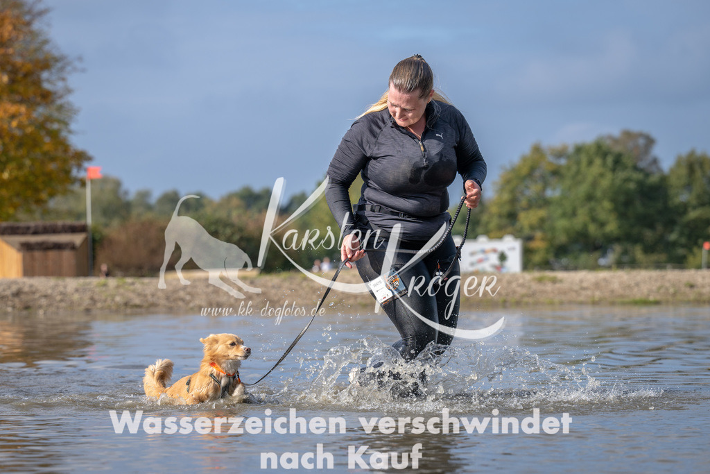 1147_ZZ94119 | kk-dogfotos