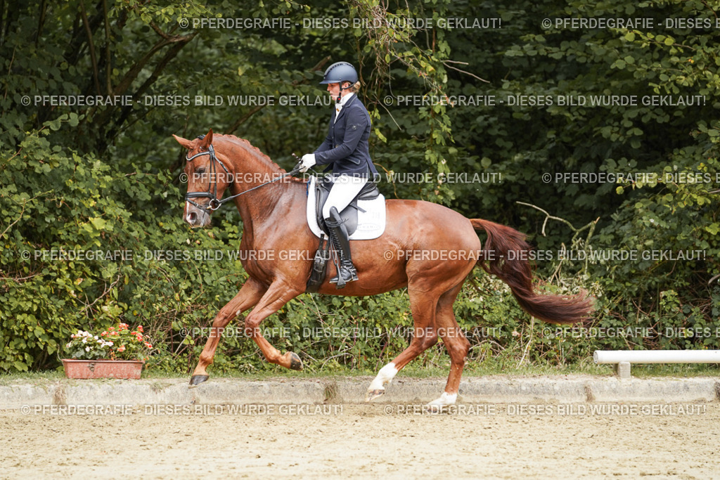 DSC09419 | Pferdegrafie