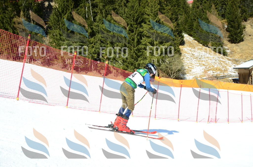 C6888 | holidayphoto