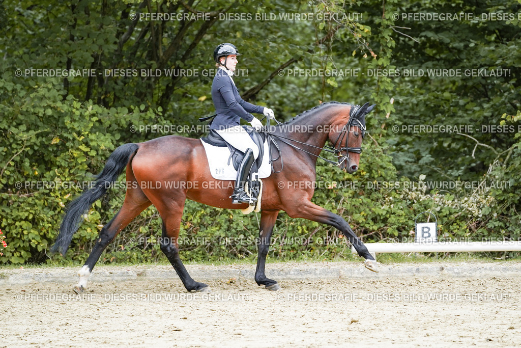 DSC07334 | Pferdegrafie