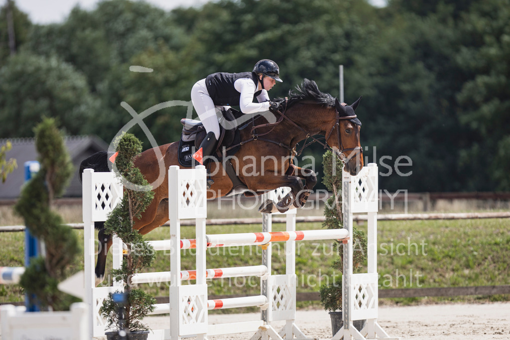 250629_PfSpTa_L-Spr2-420 | Deine schönsten Turniermomente als professionelle Fotos! Entdecke hochwertige Pferdesport-Fotografie im Online-Shop. Jetzt Fotos finden & bestellen!