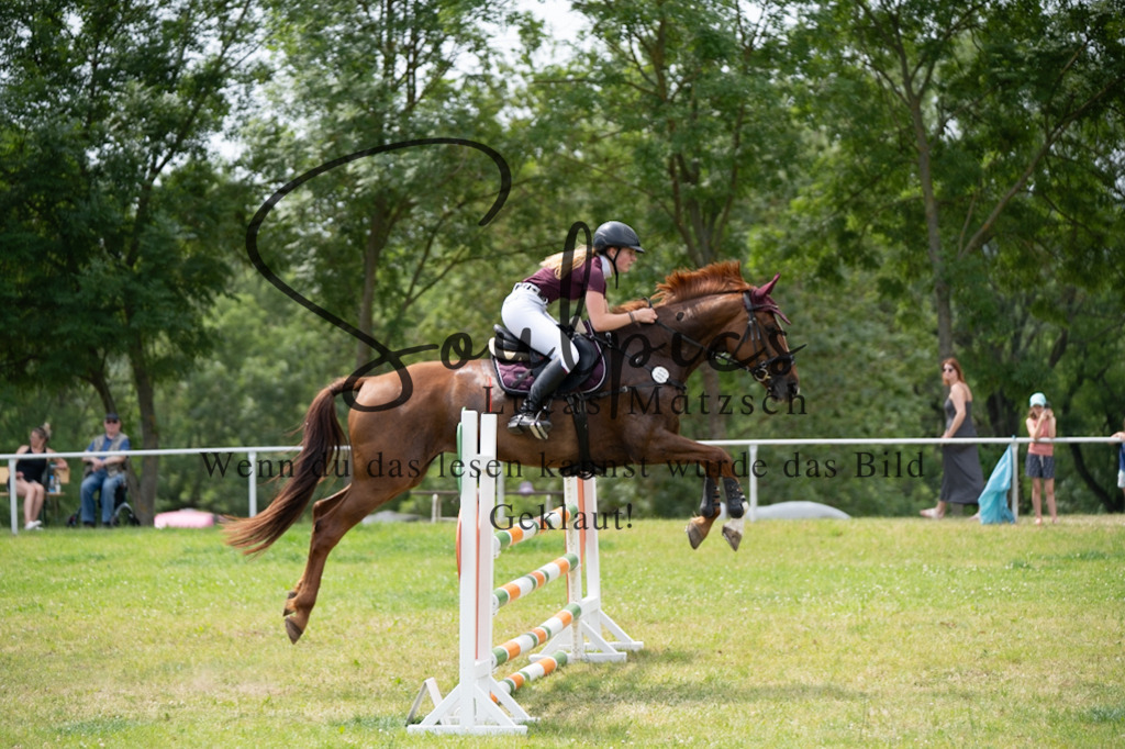 A7V06908 | Pferdefotograf