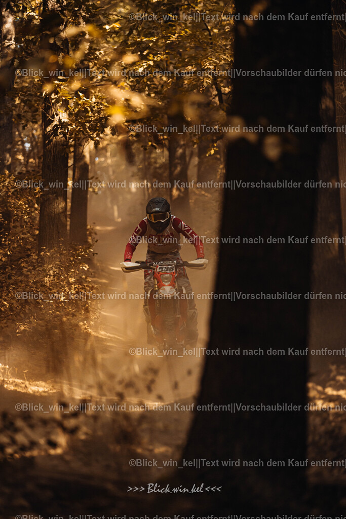 E68A8066 | blick_win_kel