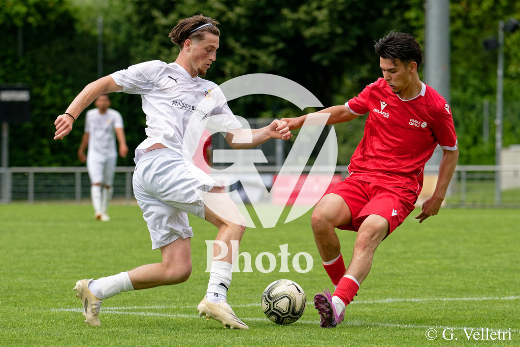 DSC_5797 | Velletri Photo