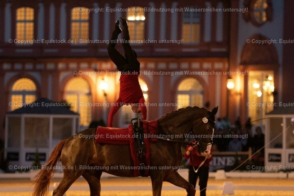 20230527_Voltigieren_NASPA_Flutlicht_0629 | equistock