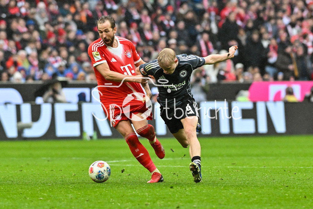 FC Bayern München - Eintracht Frankfurt | MUNICH, GERMANY - 21. FEBRUARY: im Duell Harry KANE (FC Bayern Munich 9) und Oscar HOJLUND (Eintracht Frankfurt 6) während dem Bundesligamatch zwischen dem FC Bayern München und der SG Eintracht Frankfurt am 23. Spieltag in der Allianz Arena / DFL REGULATIONS PROHIBIT ANY USE OF PHOTOGRAPHS AS IMAGE SEQUENCES AND/OR QUASI-VIDEO