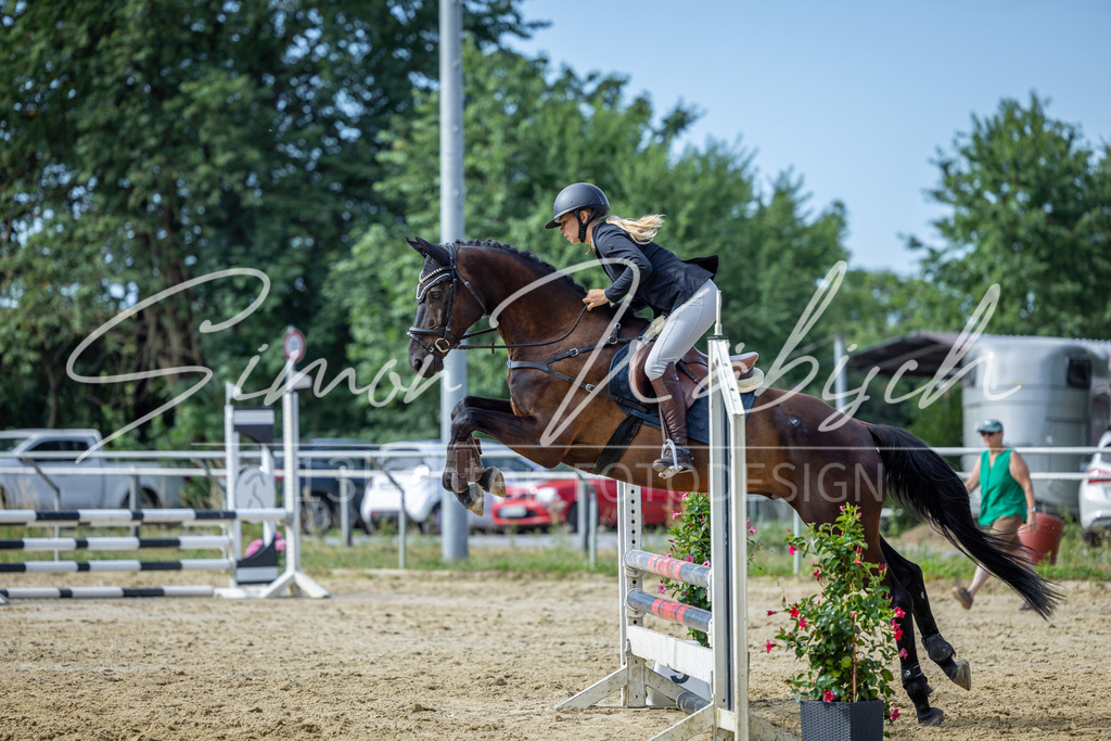 20260704-_3LI7018 | Tierfotografie Pferde, Hunde, Katzen, Haustiere.
Turnierfotografie Reitturniere, Reiten, Springreiten, Dressur in Hanau, dem Main-Kinzig-Kreis und dem Rhein-Main- Gebiet um Frankfurt
