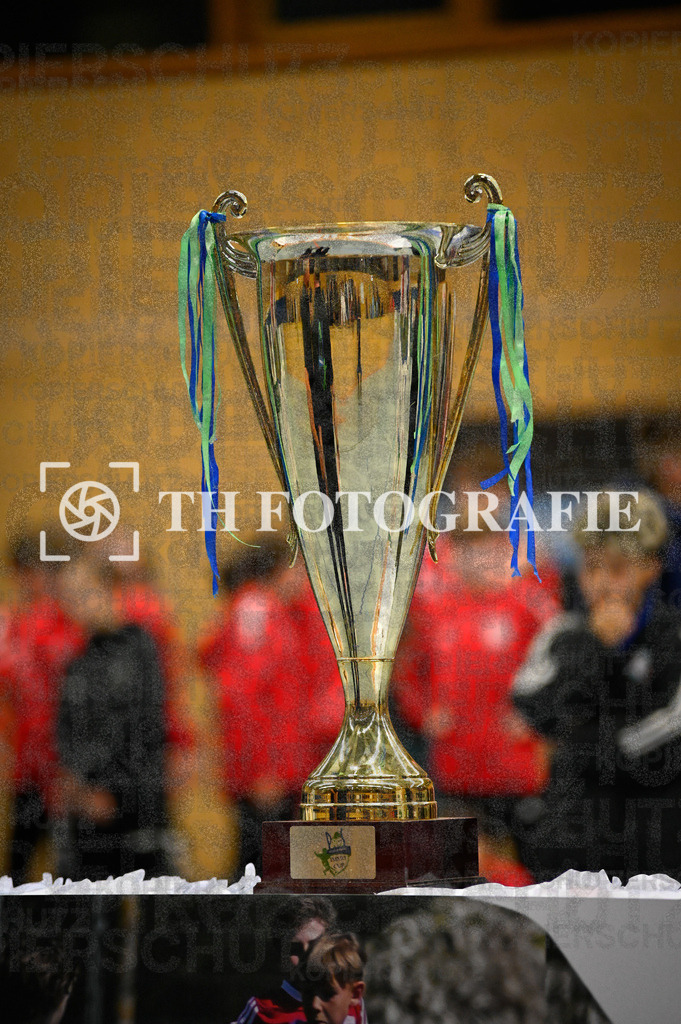 GER, Begegnung, Fussball, PS-Immo-Cup 2026,U13 Hallenturnier, 17.01.2026 | TH Fotografie