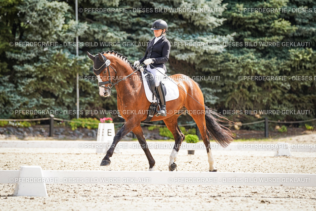 DSC08938 | Pferdegrafie