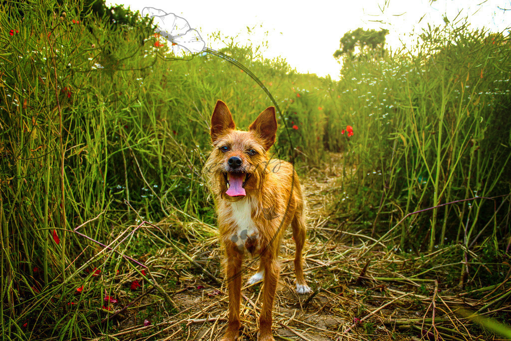 IMG_2031 licht | only.this.little.world - Realisiert mit Pictrs.com