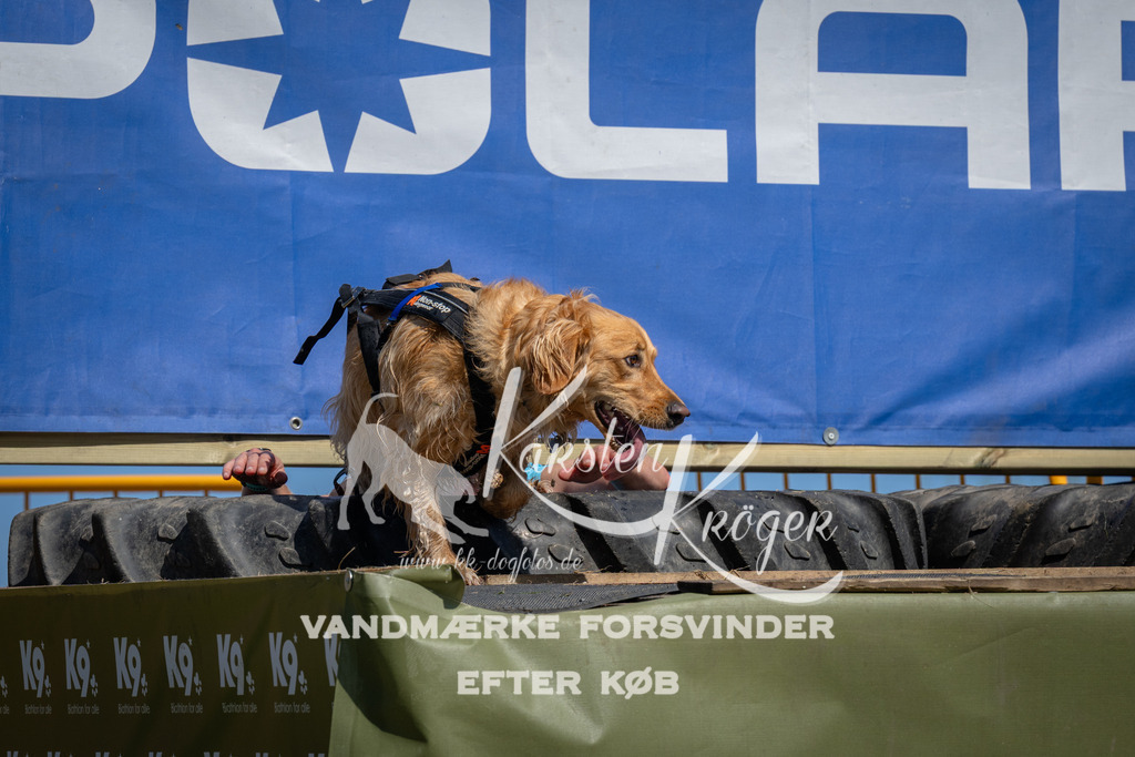 1245_ZZ96509 | kk-dogfotos