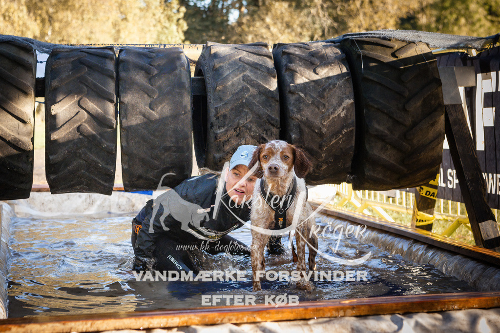 0915_ZZ90360 | kk-dogfotos