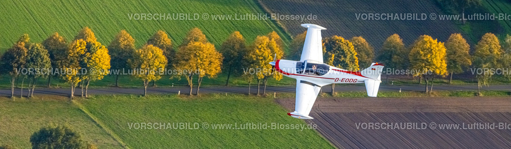 Hamm221006411marchetti_Thorsten_Wesselmann | Luftbild, Flugzeug in der Luft, Flugzeug D-EODG, Aircraft D-EODG, SIAI-Marchetti SF-260, einmotoriges Leichtflugzeug, Bäume in Herbstfarben, Heessen, Hamm, Ruhrgebiet, Nordrhein-Westfalen, Deutschland