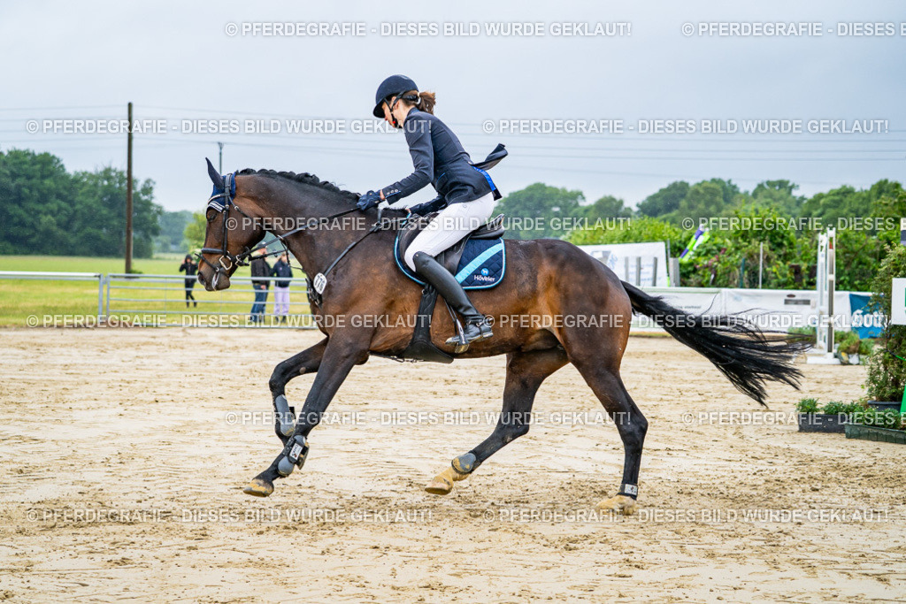 DSC02488 | Pferdegrafie