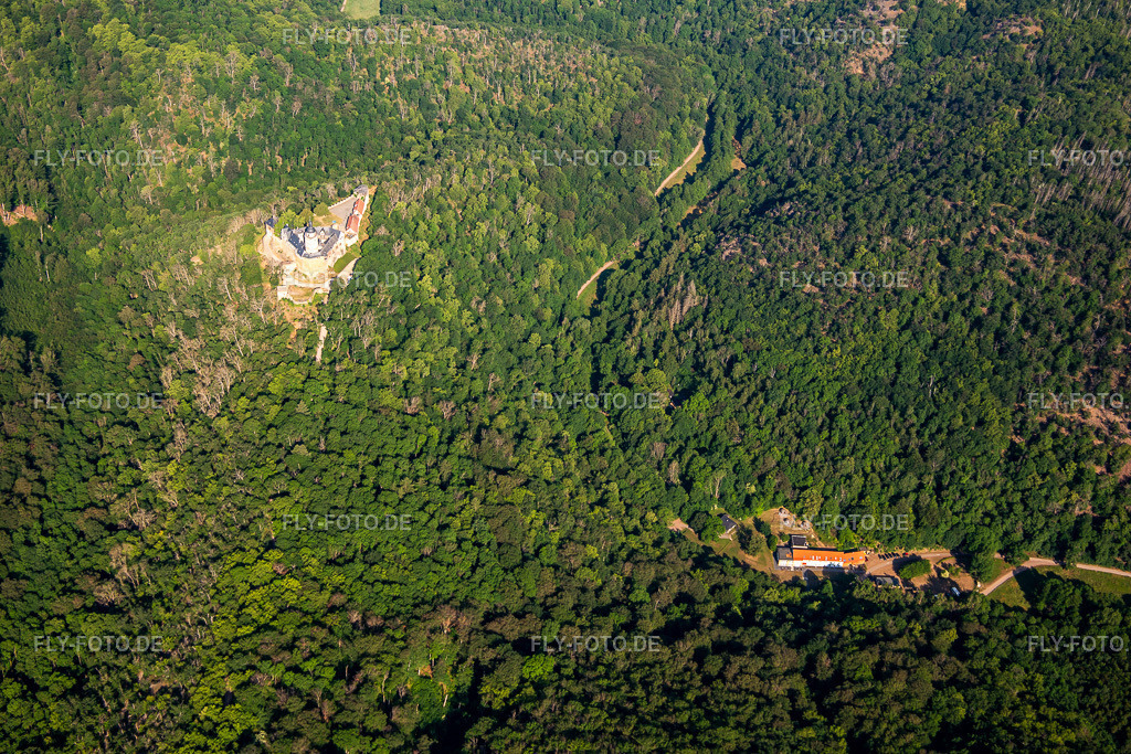Burg Falkenstein (Harz) http://www.burg-falkenstein.de/ | Luftbild: Burg Falkenstein (Harz) http://www.burg-falkenstein.de/ im Ortsteil Pansfelde in Falkenstein im Bundesland Sachsen-Anhalt in Deutschland. Foto: IMG_136755.jpg vom 18.06.2023 durch ©2025 Werner Riehm fly-foto.de/copyright - Realisiert mit Pictrs.com