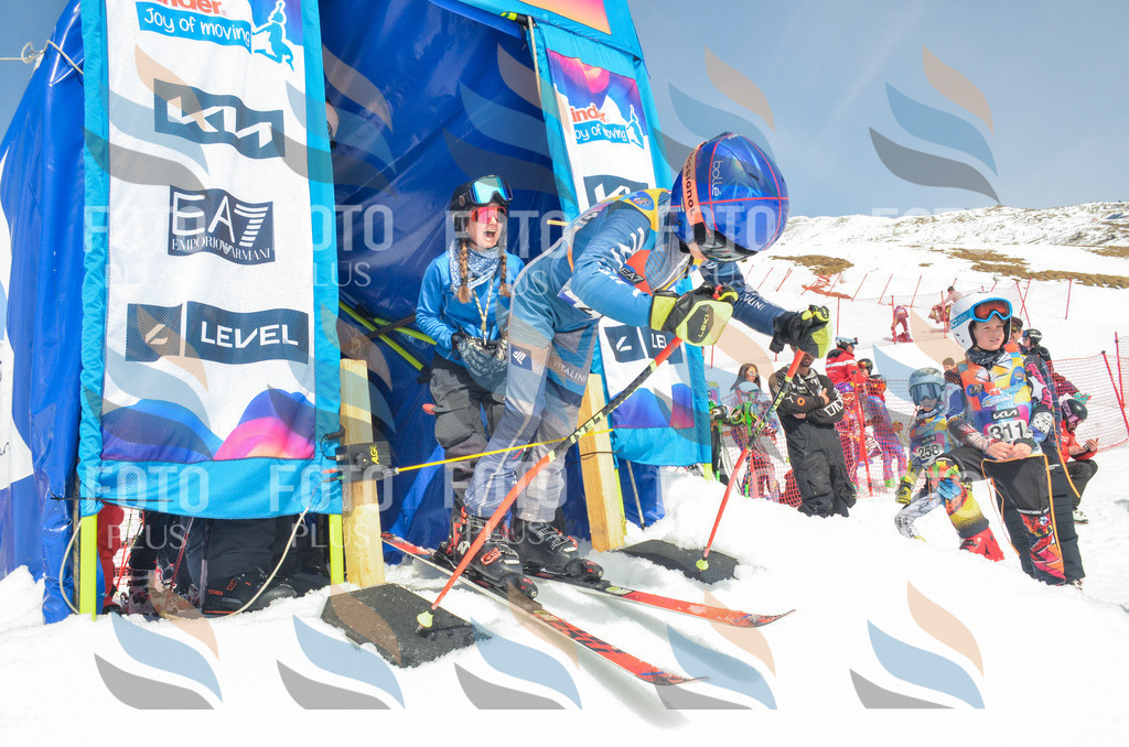 _ELE7074 | holidayphoto