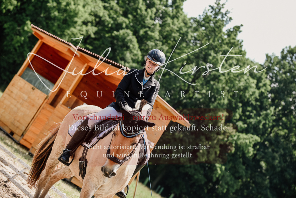 DSC_1656 | Pferde- und Turnierfotografie in Westsachsen. Pferdeportraits, Auftragszeichnungen und intuitive Kunst.
