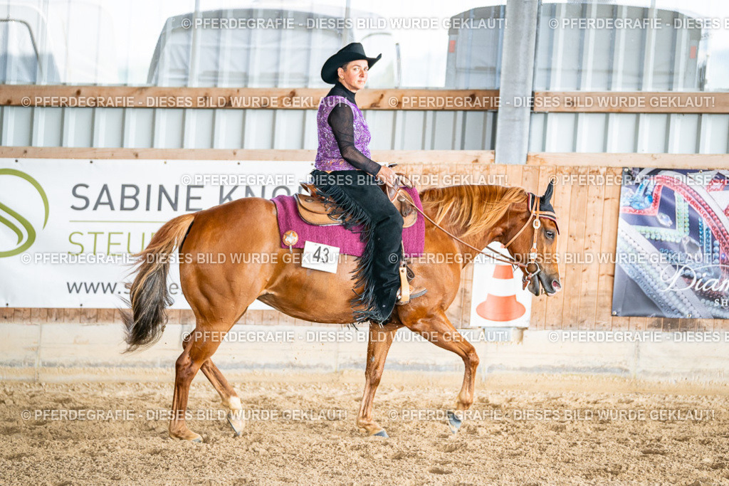 DSC09117 | Pferdegrafie