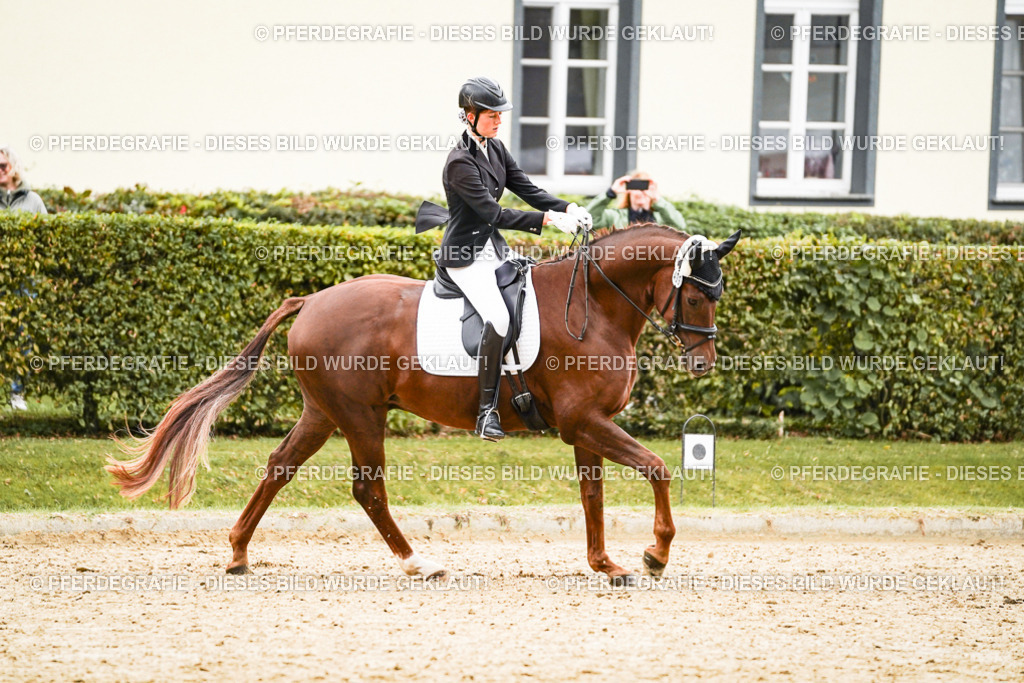 DSC08623 | Pferdegrafie