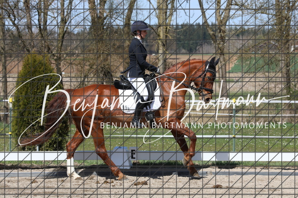 AZ2A4166 | Benjamin Bartmann Photomoments