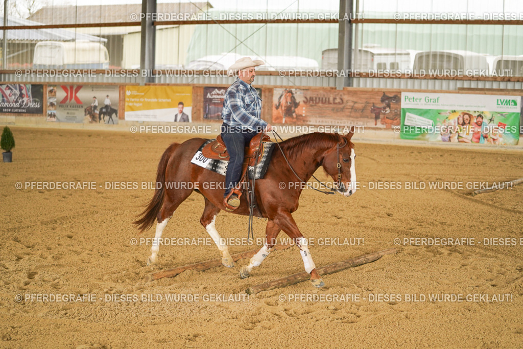 DSC04096 | Pferdegrafie